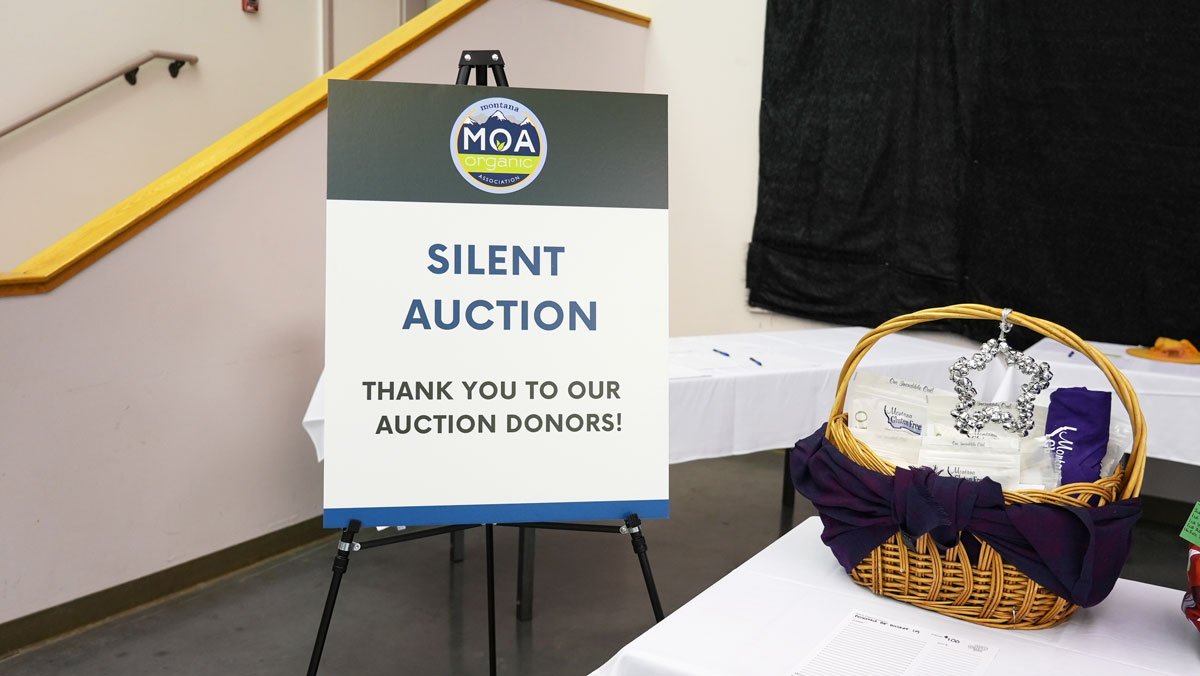 MOA-Silent-Auction.jpg