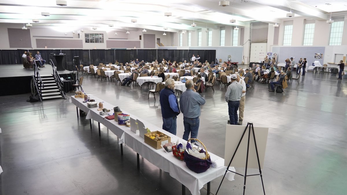 Moa-Auction.jpg