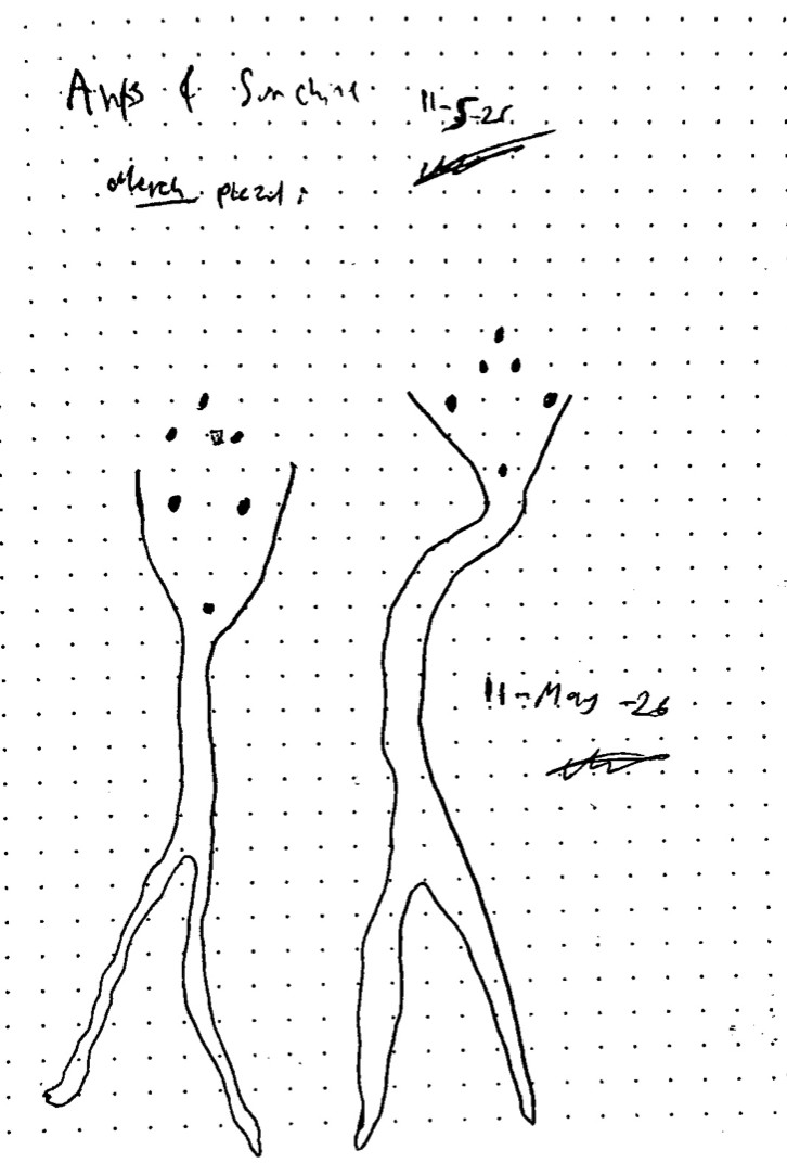 Screenshot 2026-05-22 at 10.24.02.png