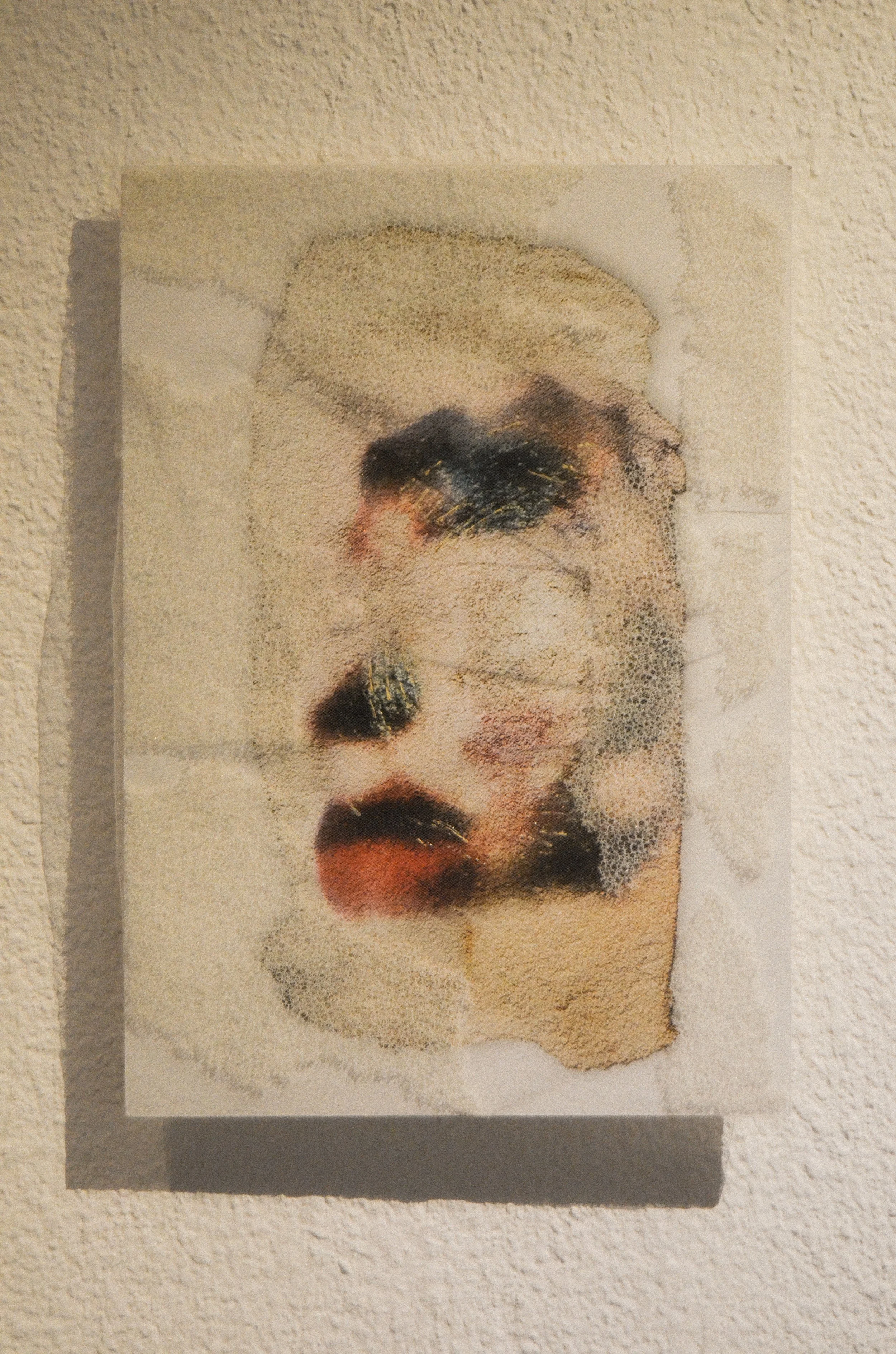 DSC_0043.jpg