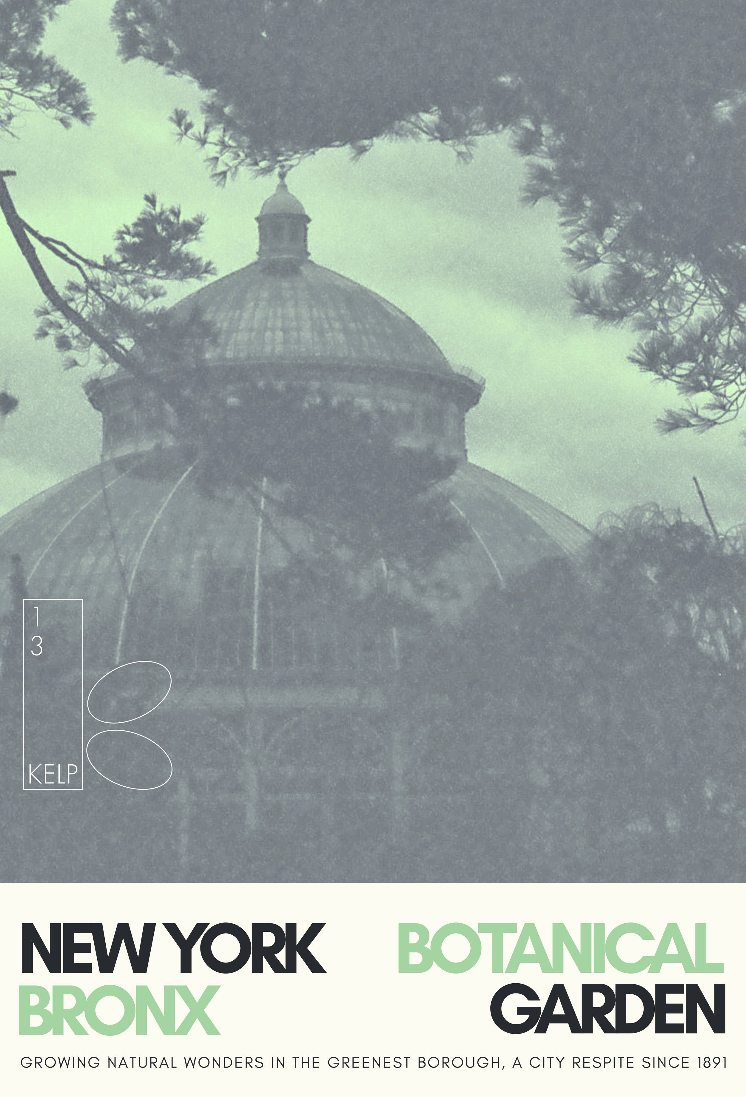 NYBG Bronx Postcard - KELP RECORDS