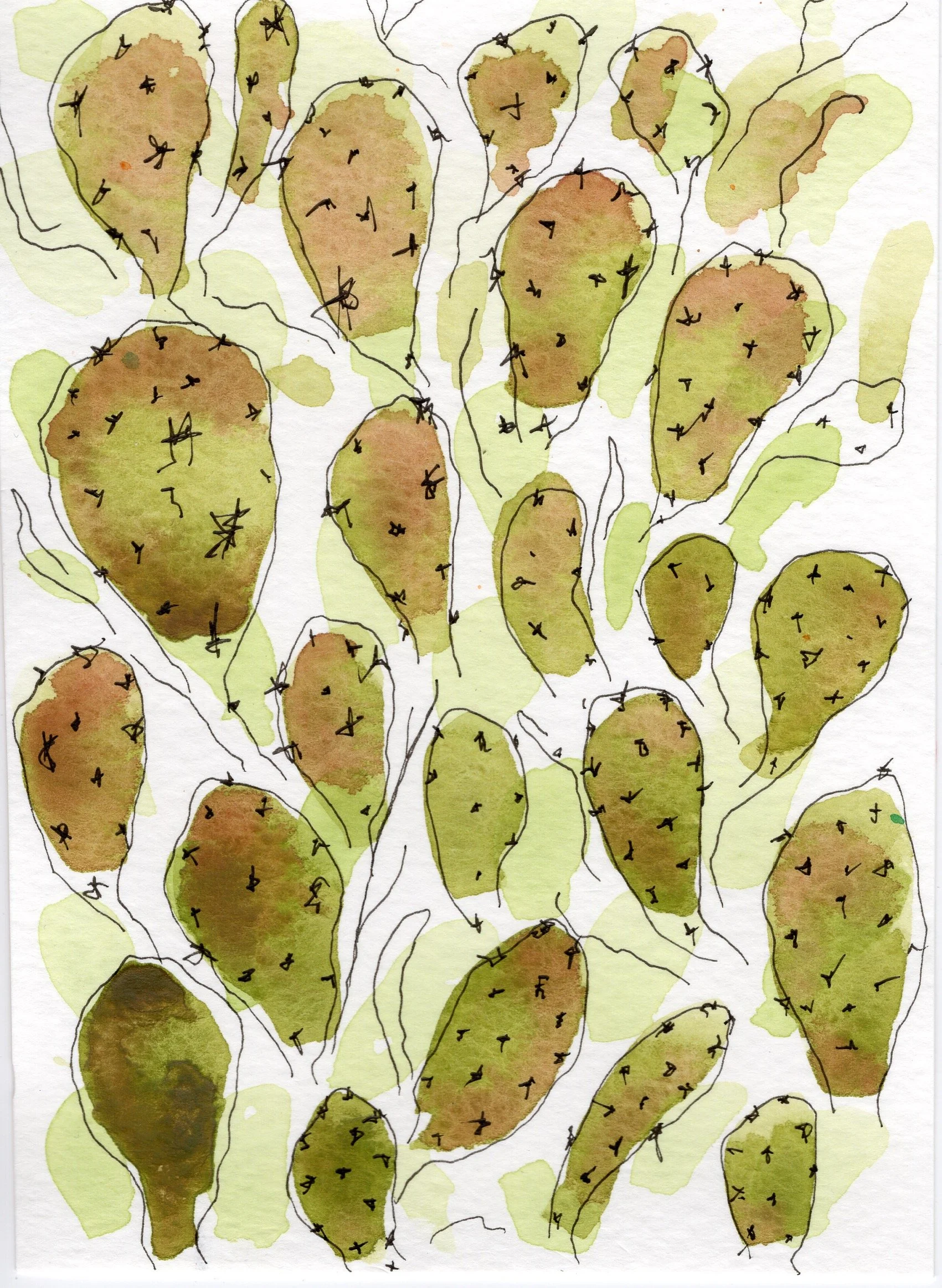 cacti1.jpg