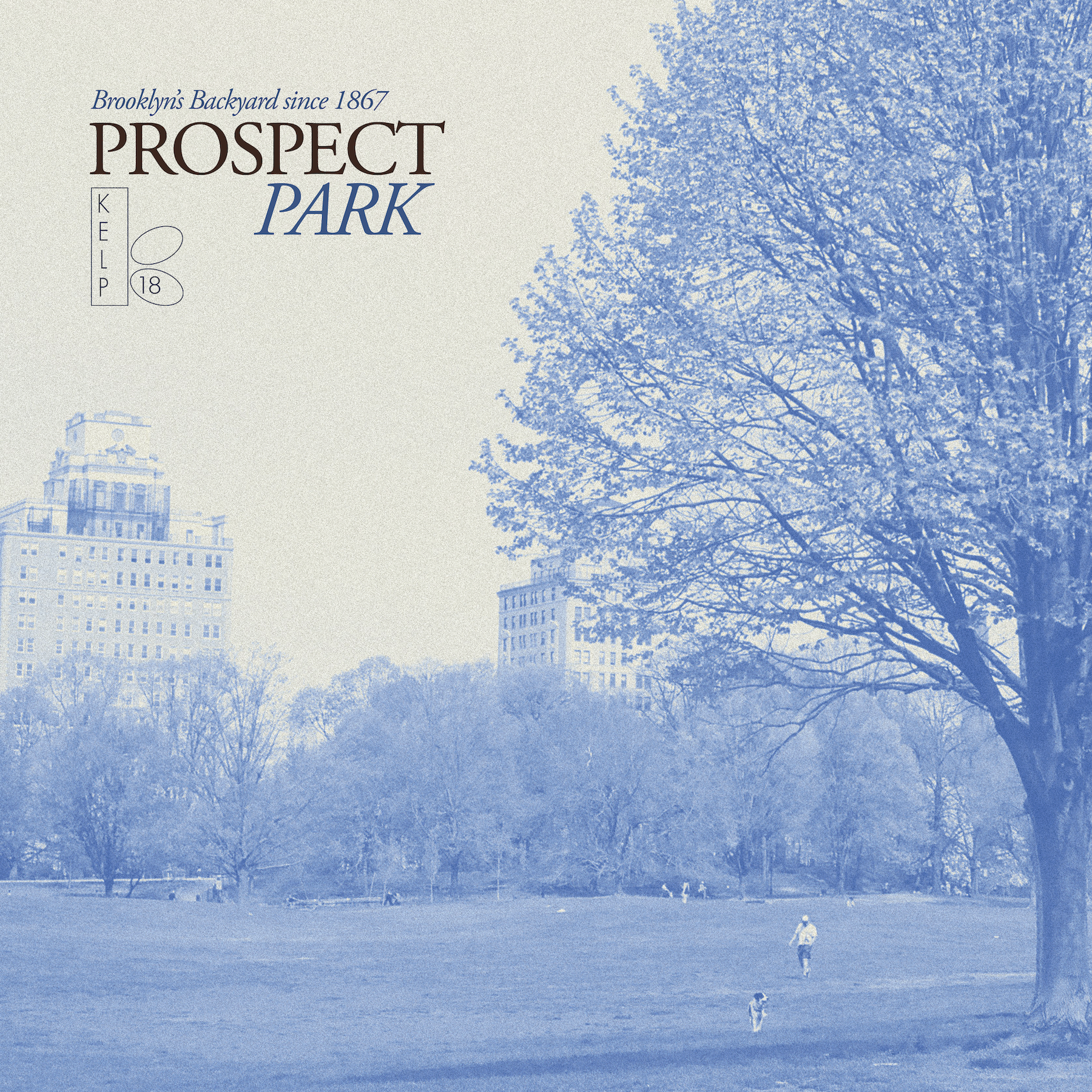 PROSPECT PARK VINYL copy.png