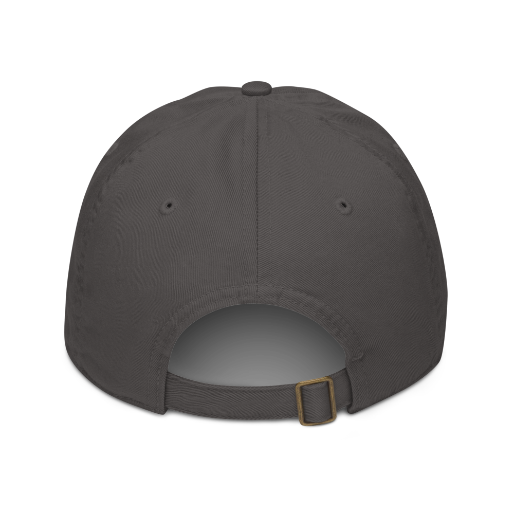organic-baseball-cap-charcoal-back-697a9774bae54.png