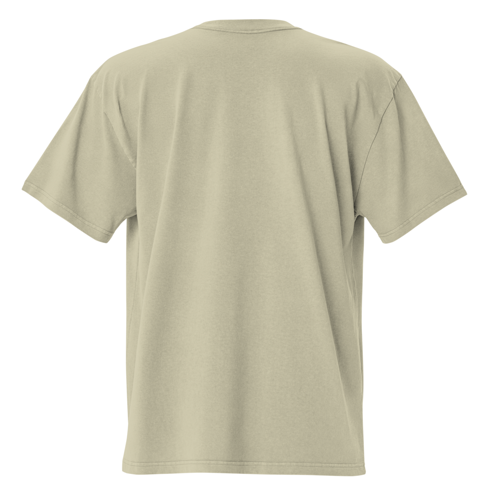 oversized-faded-t-shirt-faded-eucalyptus-back-697a962b89fe6.png
