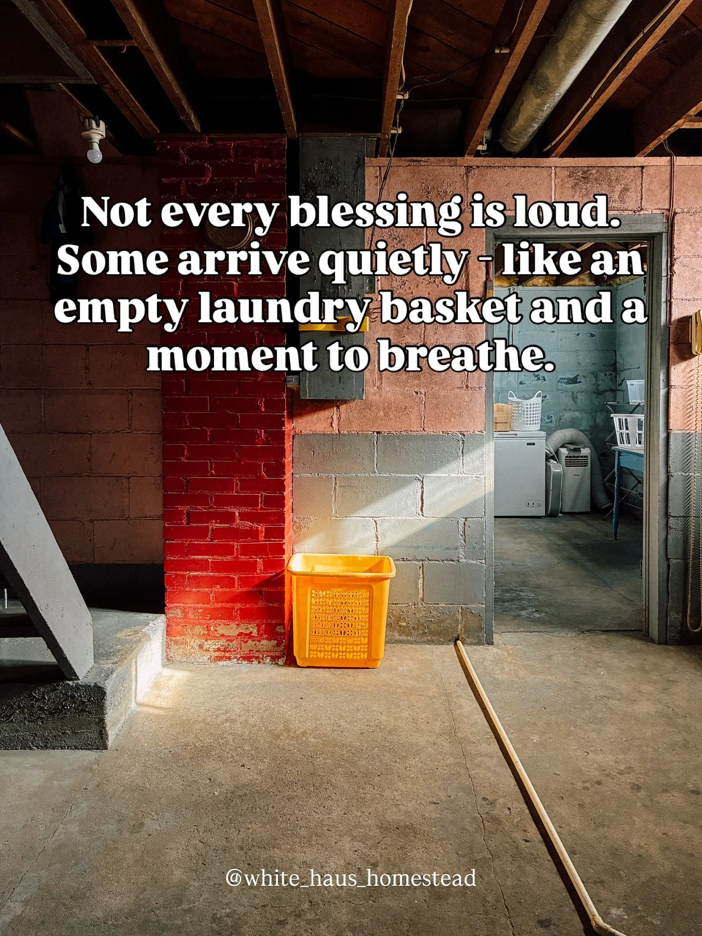 You might hate a snow day, but they do wonders for my mental well being. 🙏🏻 Cleaned half of the basement today, all of the laundry is done, and for the first time in a long time, I feel at ease. Being at the store in town during the day has been a 