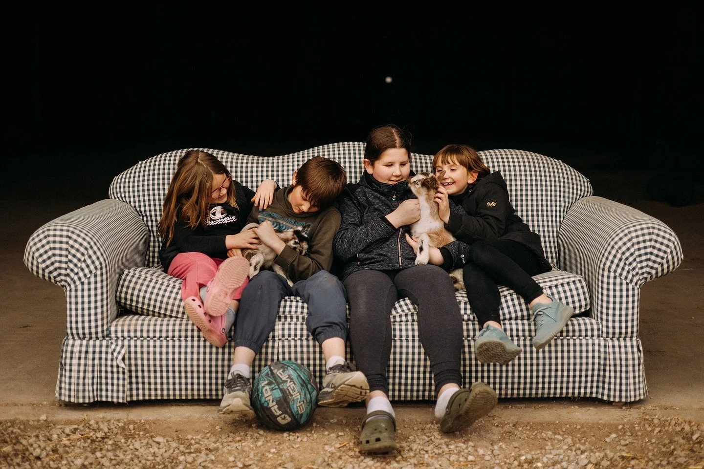 Baby goats on a couch = 100% on my 2026 BINGO card. 🥹