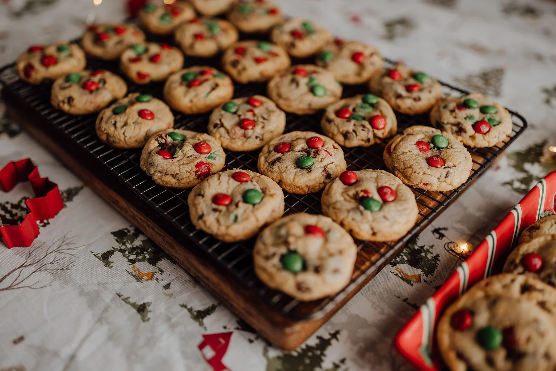 webFW6A5858 copy.jpg