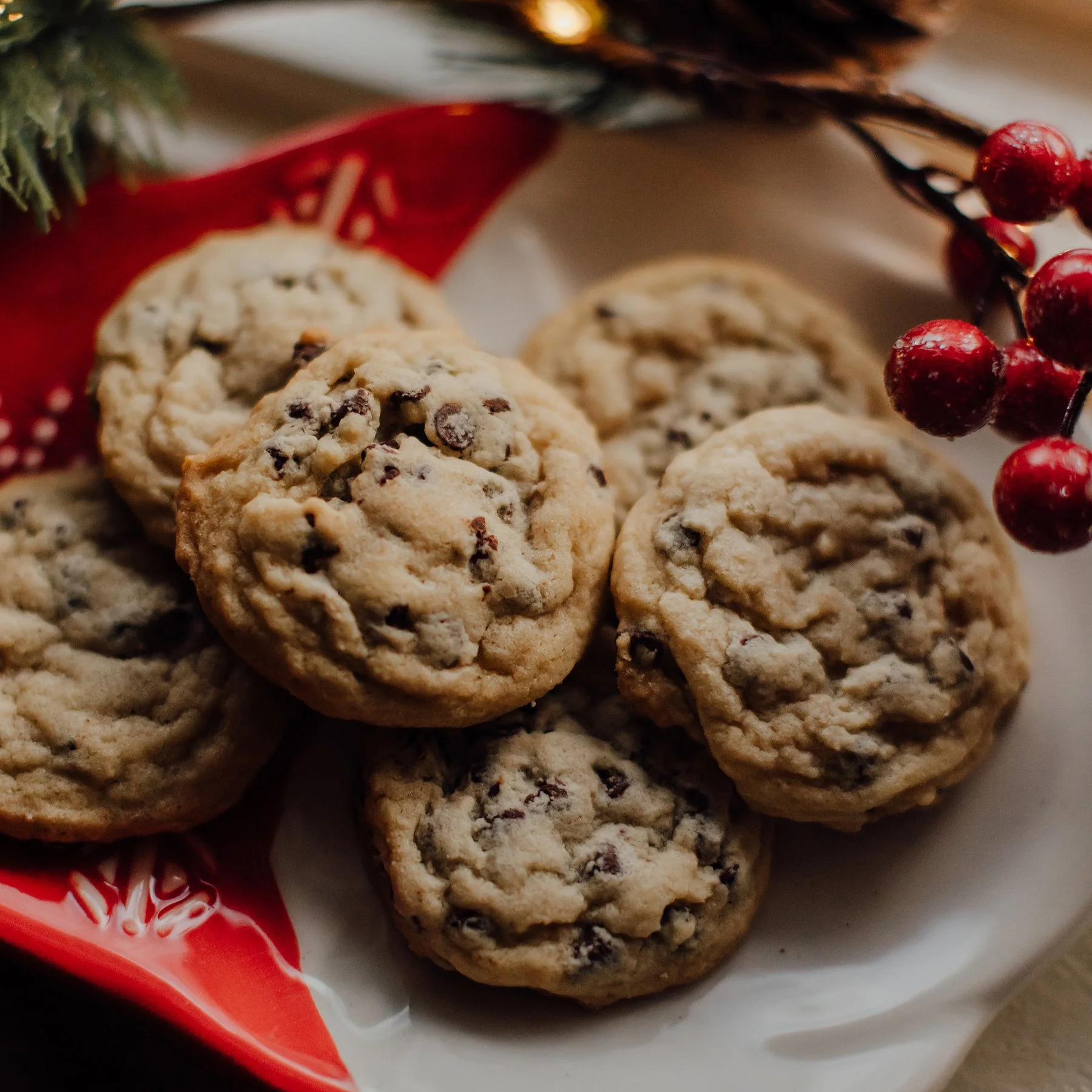RESERVED - 4 Dozen Chocolate Chip Cookies
