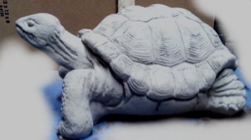 AT901 TURTLE #3 MEDIUM $27