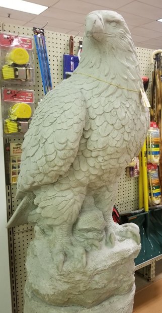 AE400 EAGLE 12" $15