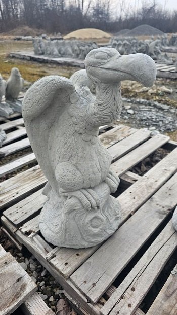 AB169 BUZZARD $63