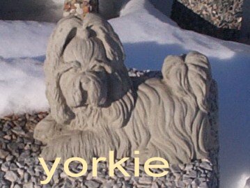 AD338 DOG YORKIE $15