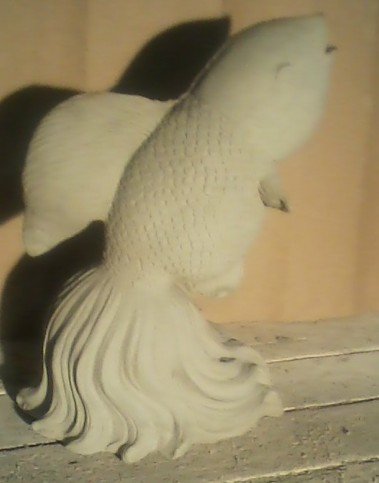 AF461 ANGEL FISH STANDING UP $21