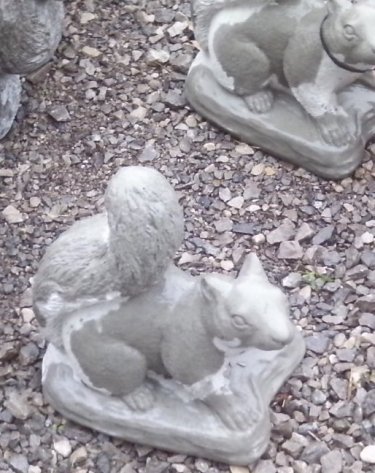 AS864 SQUIRREL ON ALL FOURS $24