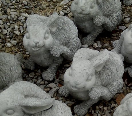 AR749 RABBIT SCRATCHING $21