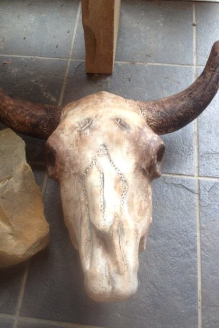 SS601 SKULL COW NOT PAINTED $30