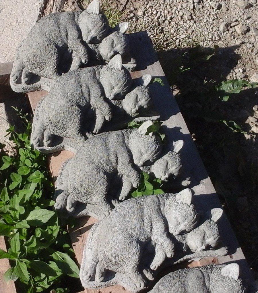 AC228 TWO CATS SLEEPING $15
