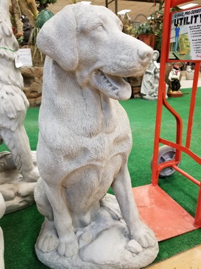 AD330 DOG LAB SITTING $120
