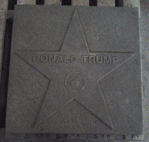 TR005 TRUMP STAR $20