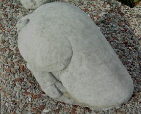 AP721 PIG BACK HALF $18