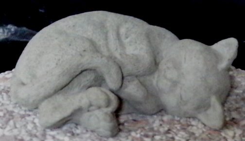AC222 CAT CURLING $12