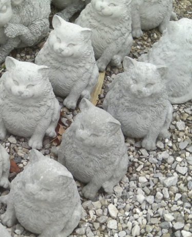 AC223 CAT FAT $12