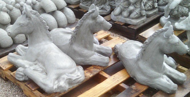 AH562 HORSE FOAL $66
