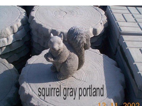 AS860 SQUIRREL $24