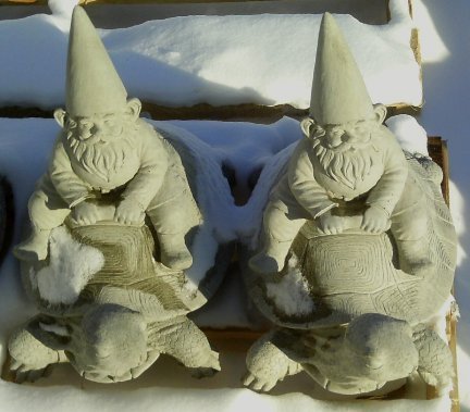 SG397 GNOME ON TURTLE $54