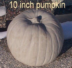 SP560 PUMPKIN $24 (SP561 PUMPKIN SMALL $12)