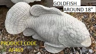 AF463 GOLDFISH 18" $30