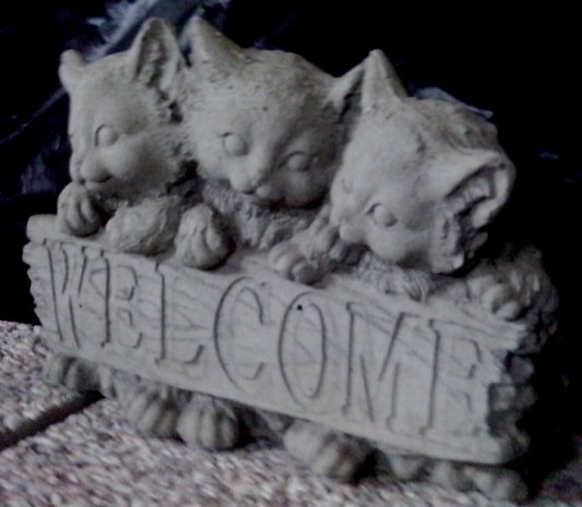 AW935 WELCOME KITTENS $30