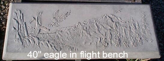 BE800 EAGLE
