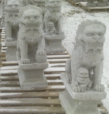 AF481 FOO LION FEMALE $144
