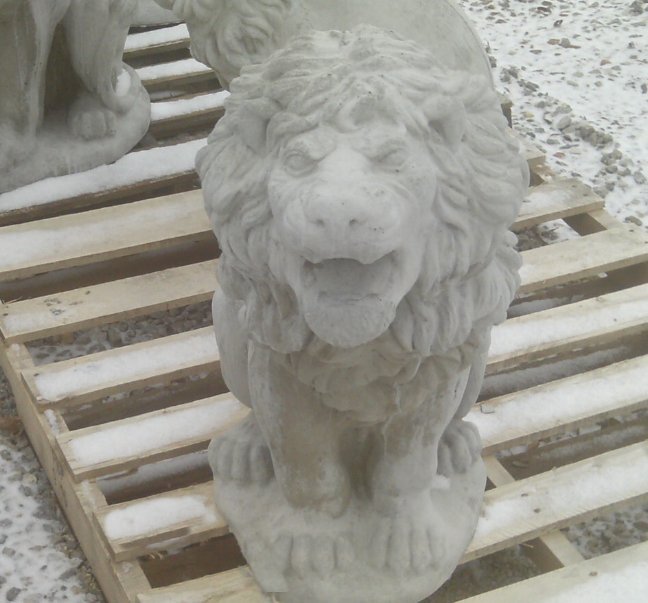 AL594 LION 30" $117