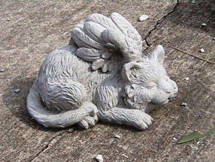 AA110 ANGEL CAT $18