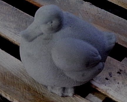 AD372 DUCKLING FAT $12
