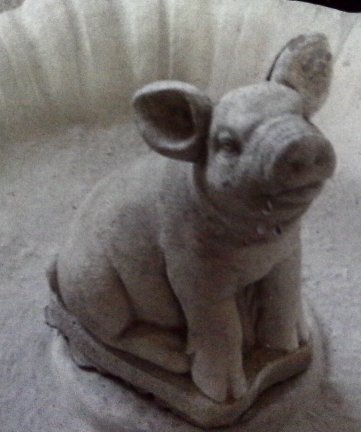 AP723 PIG SITTING $15