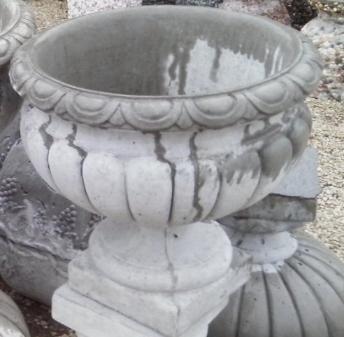 PR ROMAN JR LARGE
