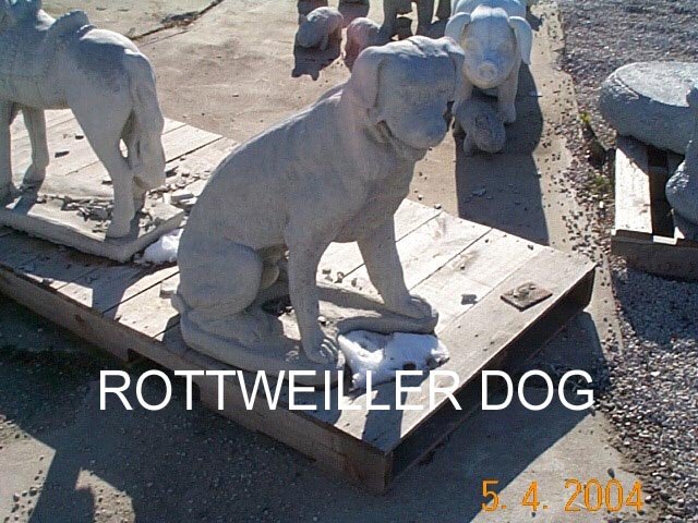 AD336 DOG ROTTWEILLER $120