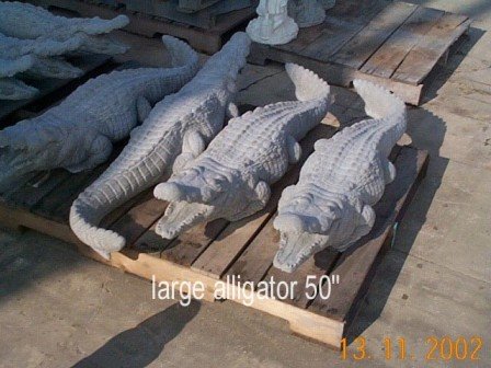 AA101 ALLIGATOR LARGE 50" $129