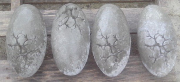 AD282 DINOSAUR EGG $10