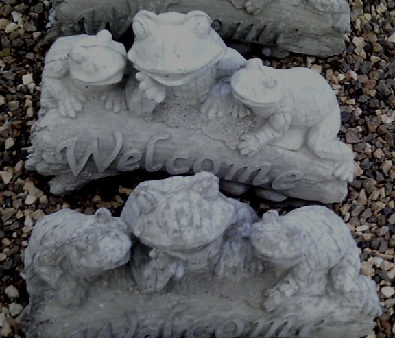 AW934 WELCOME FROGS $30