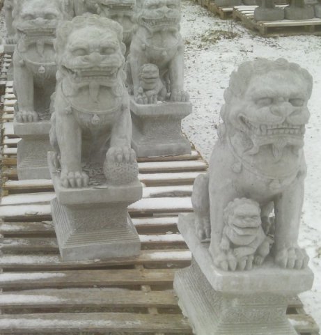 AF482 FOO LION MALE $144