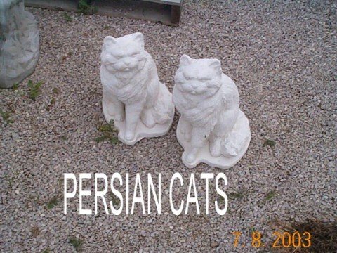AC227 CAT PERSIAN $33