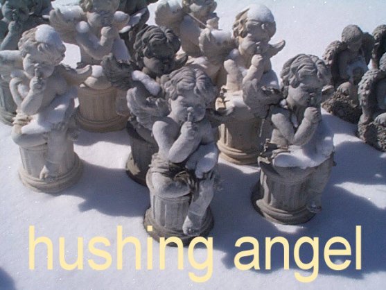 SA116 ANGEL HUSHING $60