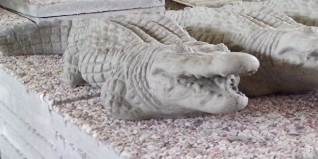 AA102 ALLIGATOR SMALL 30" $42