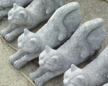 AC226 CAT STRETCHING $12