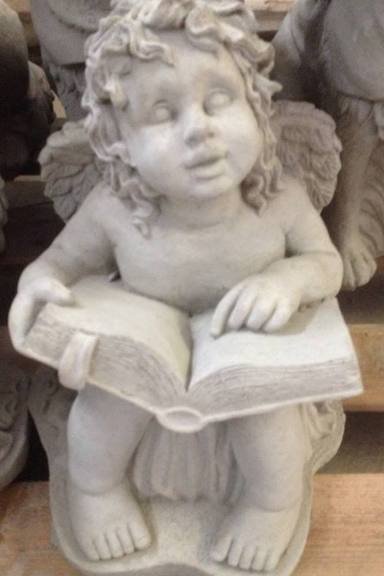 SA119 ANGEL READING BOOK $57